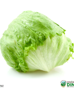 Alface Americana Orgânico (und)