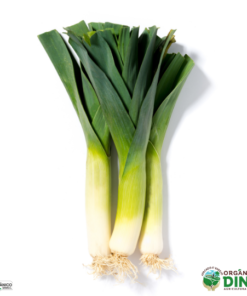 Alho-Poró Orgânico (und)