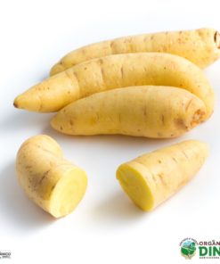 Batata Salsa Amarela Orgânica 500g