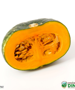 Abóbora Cabotiá Orgânica ( CORTADA) 1 KG