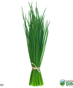 Cebolinha Orgânica (mç)