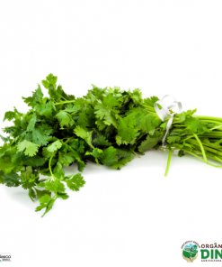 Coentro Orgânico (mç)