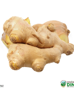 Gengibre Orgânico 100g