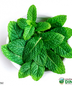 Hortelã Orgânica (mç)