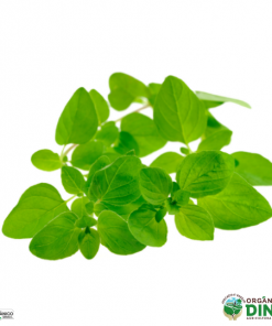 Manjerona Orgânica (mç)