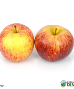 Maçã Gala Orgânica Italiana 500 g