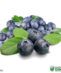 Mirtilo Fresco Orgânico 100  (bdj)