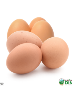 Ovos caipira produção propria (dúzia) [Embalagem retornável]