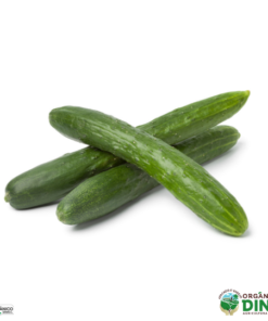 Pepino Japonês Orgânico 500g