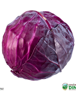 Repolho Roxo Orgânico (und)