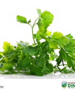 Salsinha Orgânica (mç)