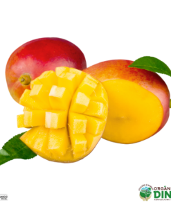 Manga Tomy Orgânica 500g