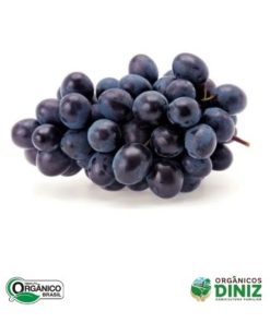 Uva Vitória sem semente Orgânica (bdj)