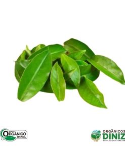 Ora Pro Nóbis Orgânica pct 50 g