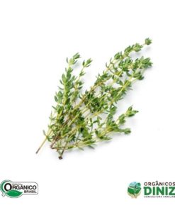 Tomilho Orgânico mç