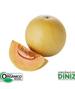 Melão Orange Orgânico (kg)