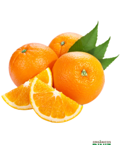 Laranja Suco Orgânica (kg)