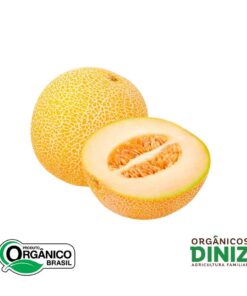 Melão Catalupe orgânico kg