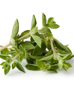 Orégano Orgânico (mç)