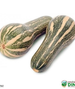 Abóbora Paulista Orgânica (500g)