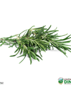 Alecrim Organico (mç)