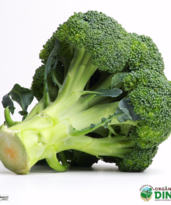 Brócolis Chinês Orgânico(und)