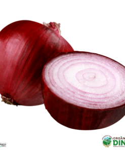 Cebola Roxa Orgânica 500g