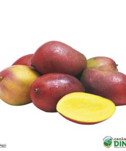 Manga Palmer Orgânica (500g)