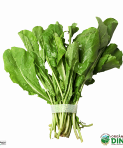 Rúcula Orgânica (mç)