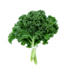 Couve kale Orgânica (mç)