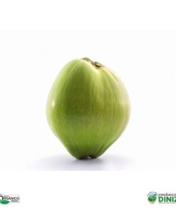 Coco Verde Orgânico (und)
