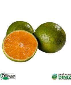 Laranja Pera Orgânica (kg