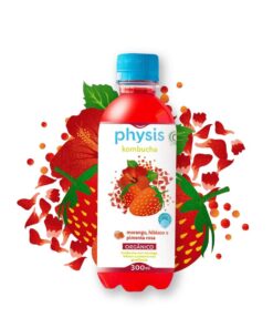 Kombucha com Morango, Hibisco e Pimenta Rosa Orgânico 300ml